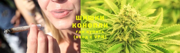 МДПВ Нея
