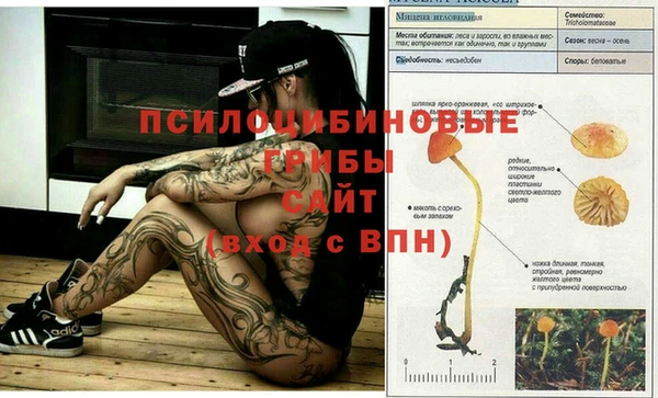 МДПВ Нея