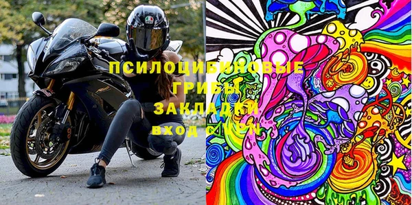 МДПВ Нея