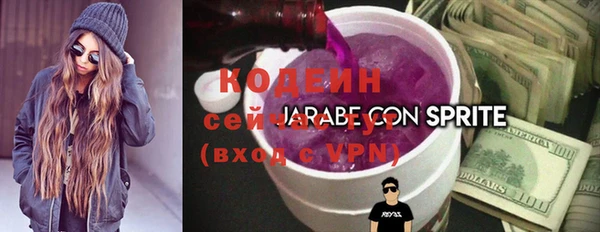 МДПВ Нея