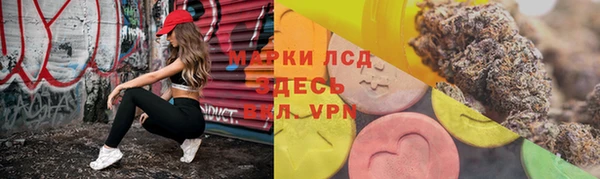 стаф Анжеро-Судженск