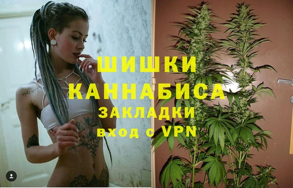 МДПВ Нея
