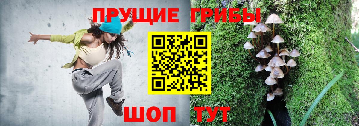 Псилоцибиновые грибы Magic Shrooms Тверь