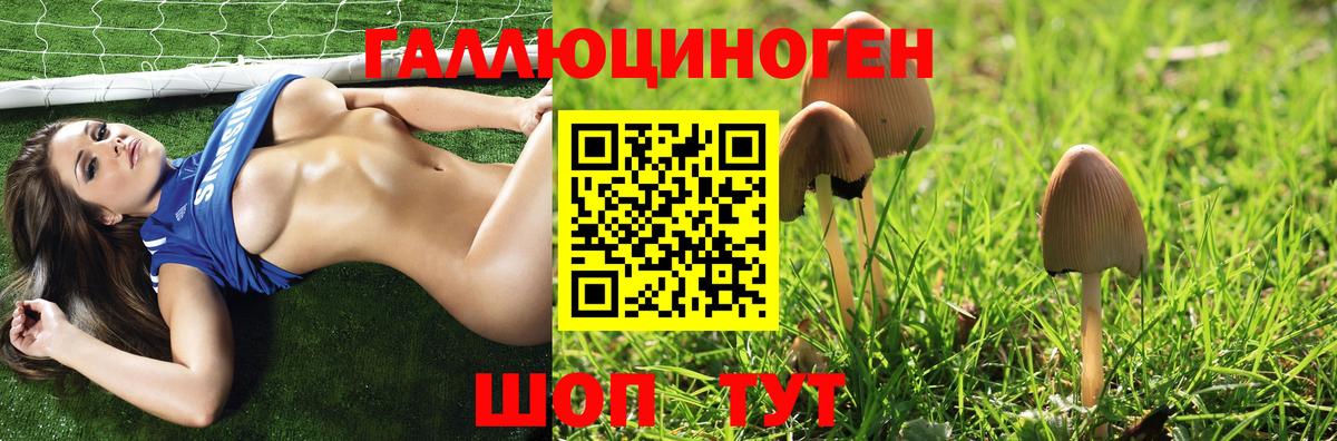 Псилоцибиновые грибы GOLDEN TEACHER  Псилоцибиновые грибы Psilocybine cubensis  Вход с VPN  Тверь 