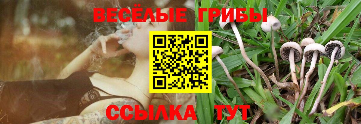  Кокаин Тверь